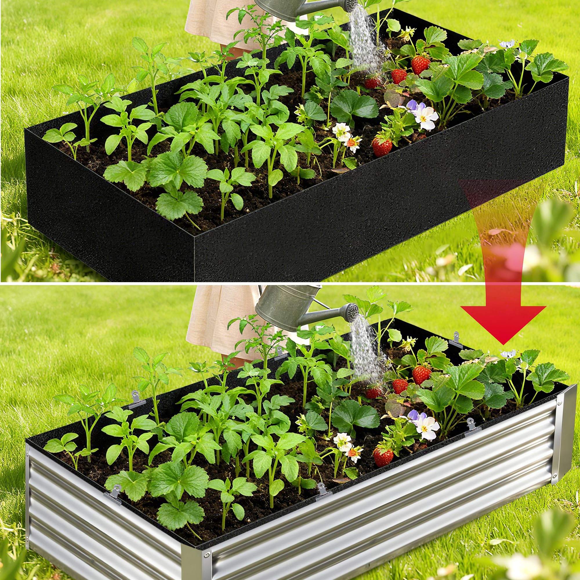 Mizelu plants growing inside liner highlighting healthy root air exchange.