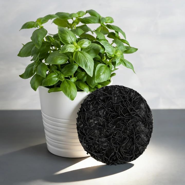 Mizelu protects soil while promoting drainage and airflow