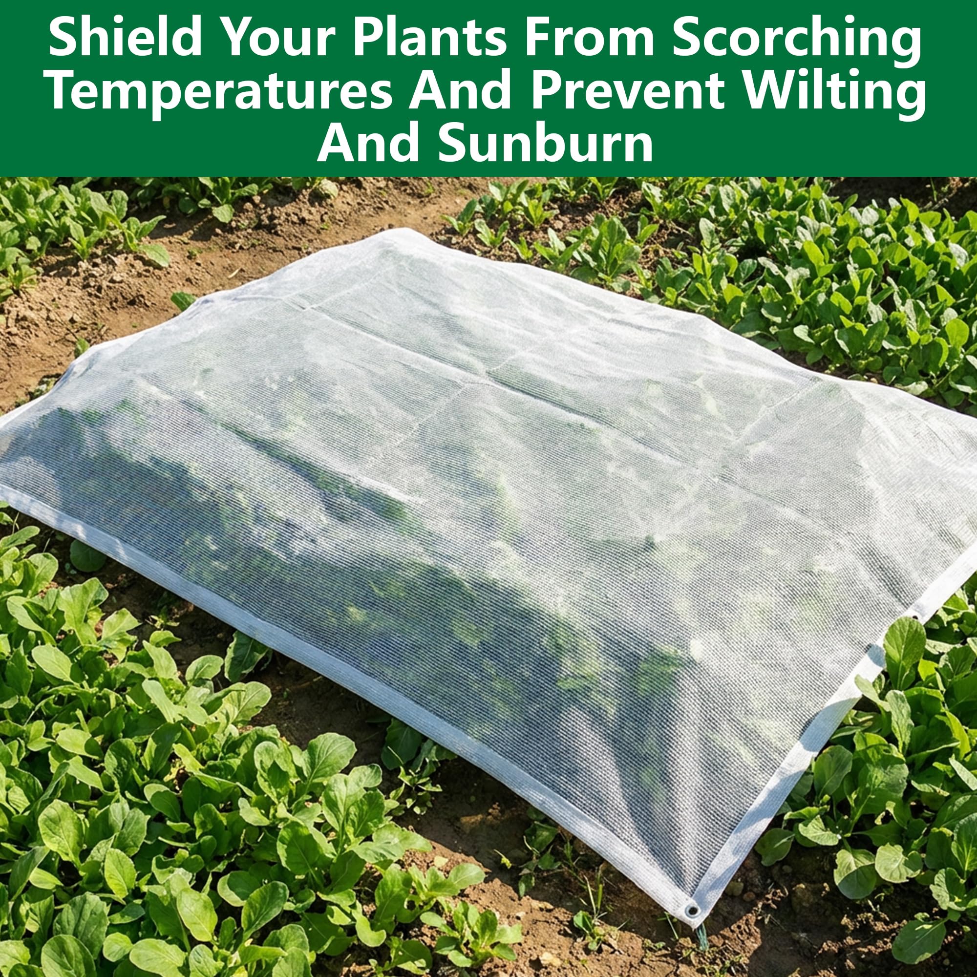 Mizelu shade cloth used in greenhouses to control sun exposure