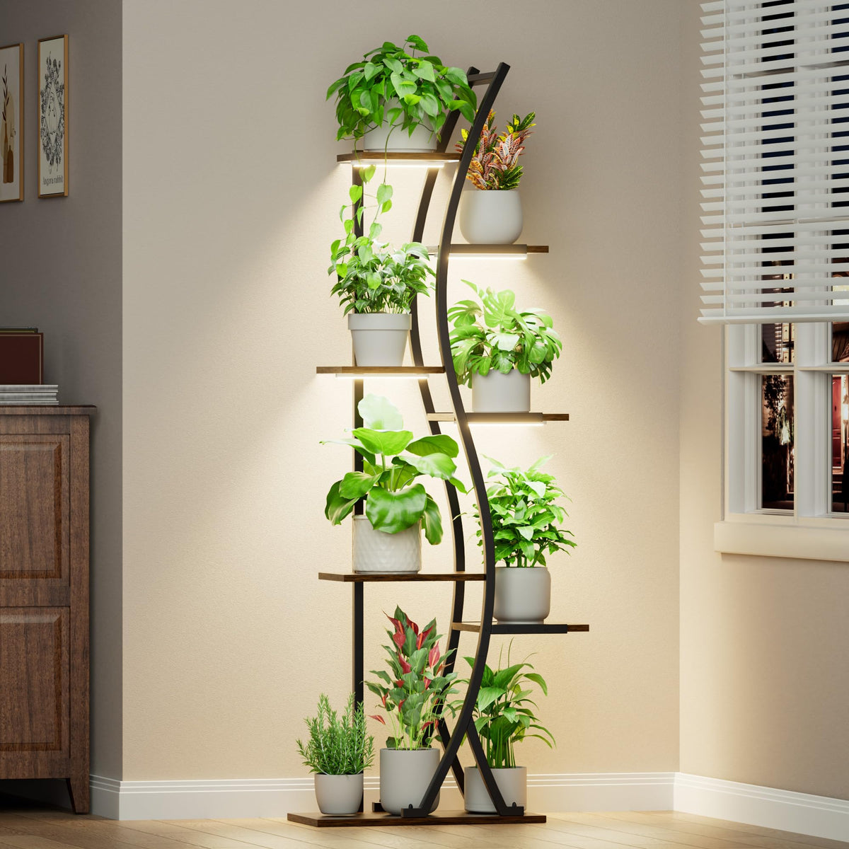 MJOMKN 62-inch plant stand with grow lights, top view for thriving indoor plants.