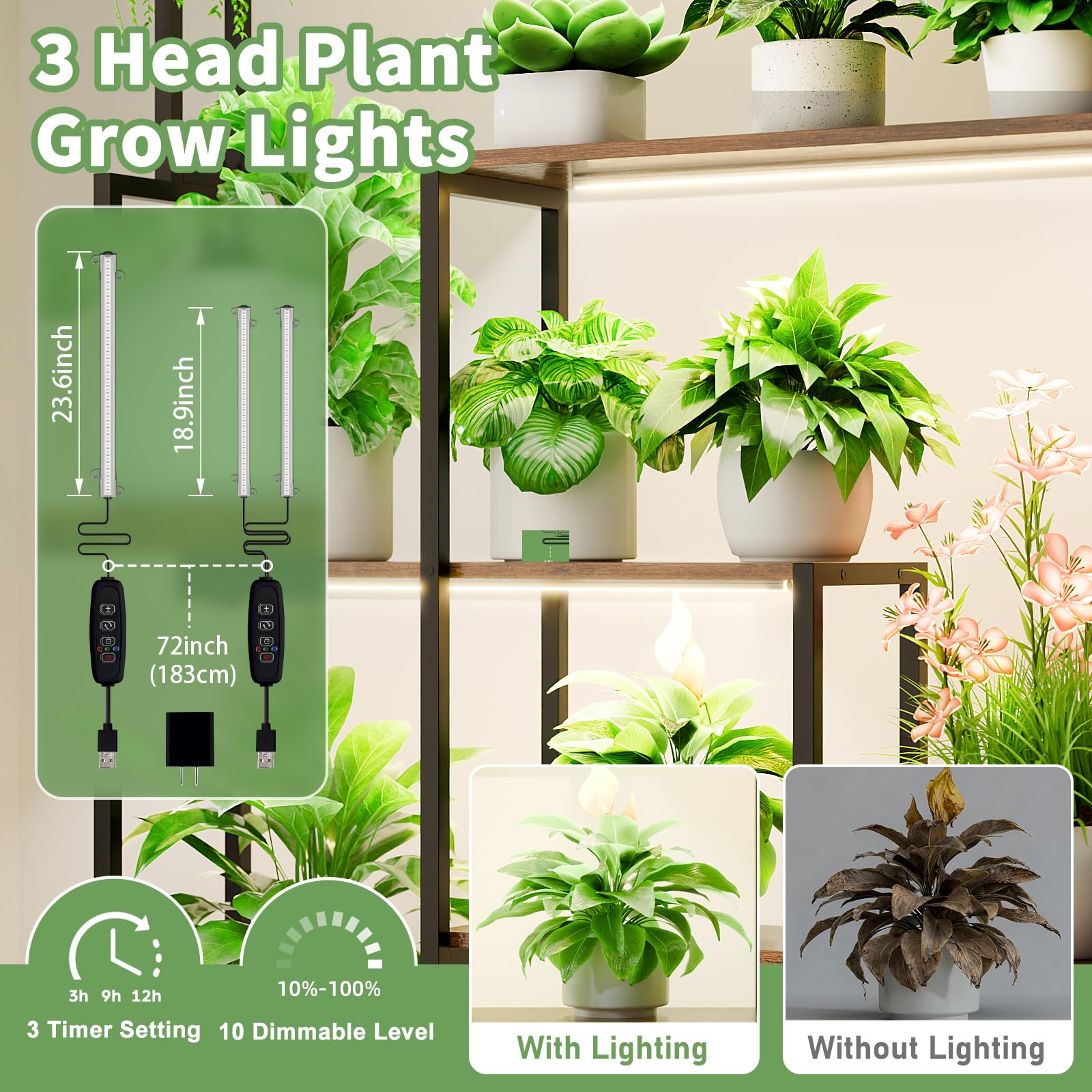 MJOMKN heavy-duty iron pipes ensure stable display for large pots