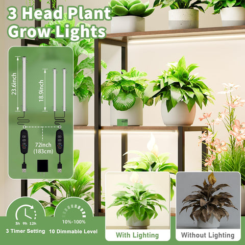 MJOMKN heavy-duty iron pipes ensure stable display for large pots