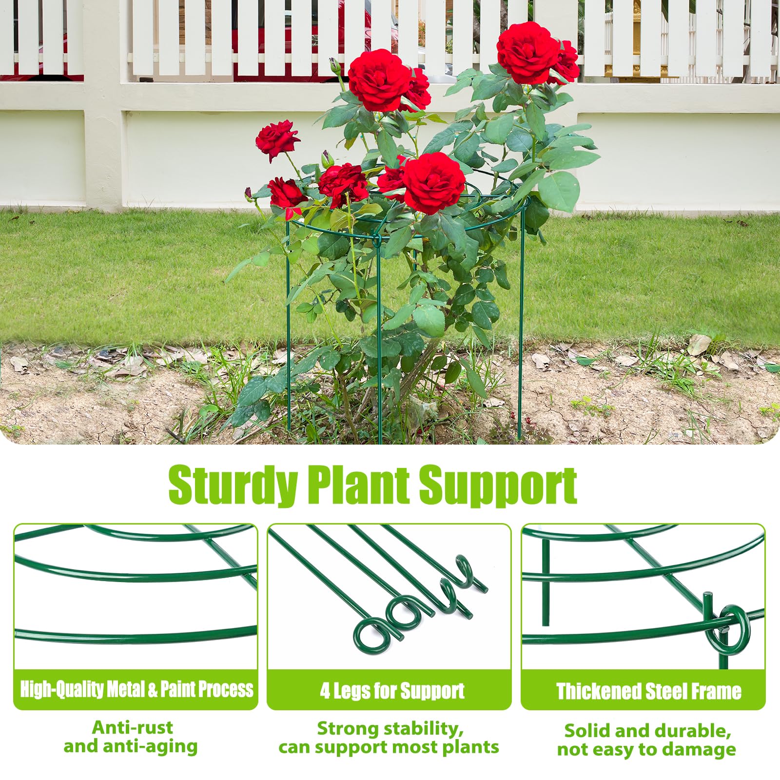 MJZ 14-inch by 24-inch peony ring helps taller plants grow upright.