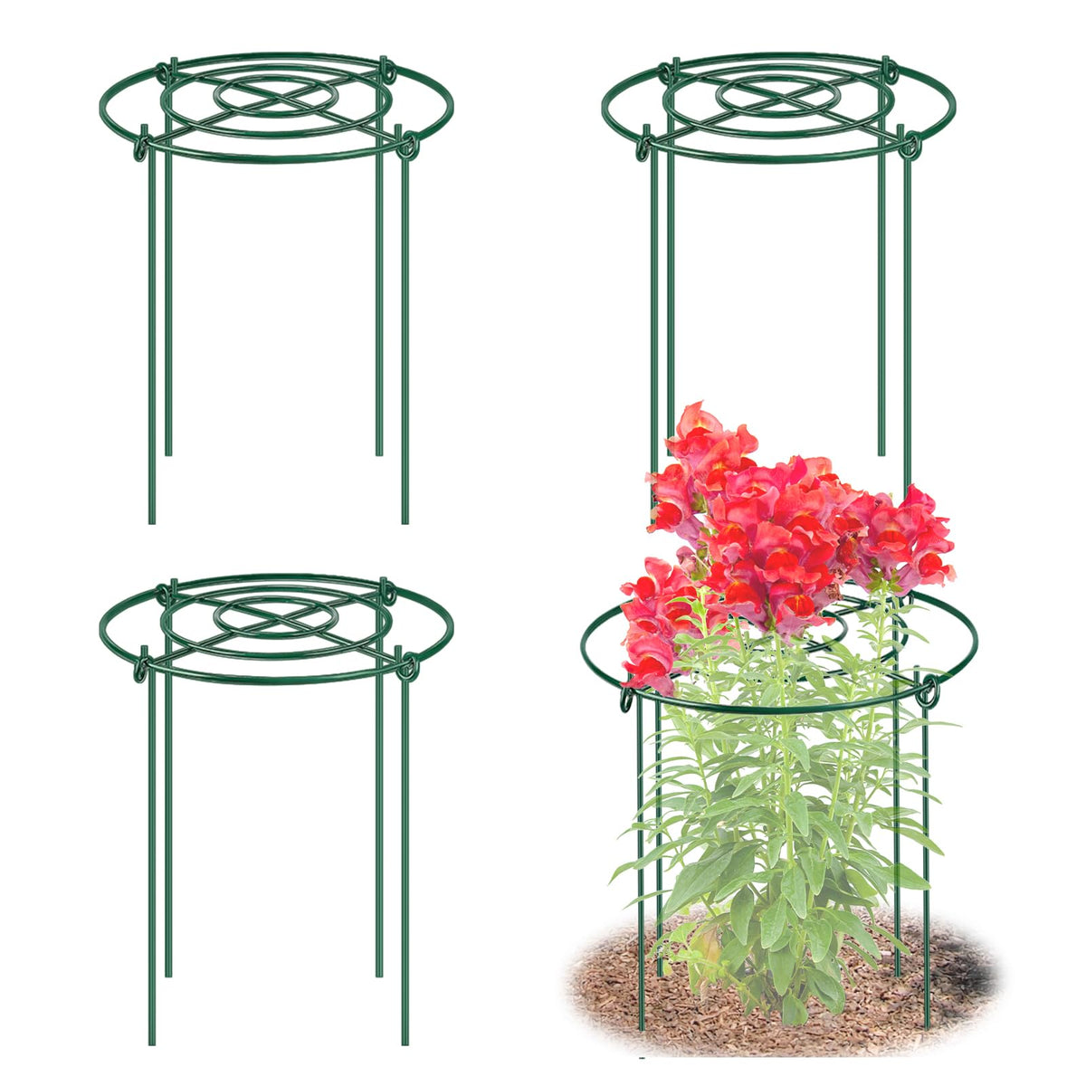MJZ 4-pack peony cages with grid top stabilize tall blooms in wind