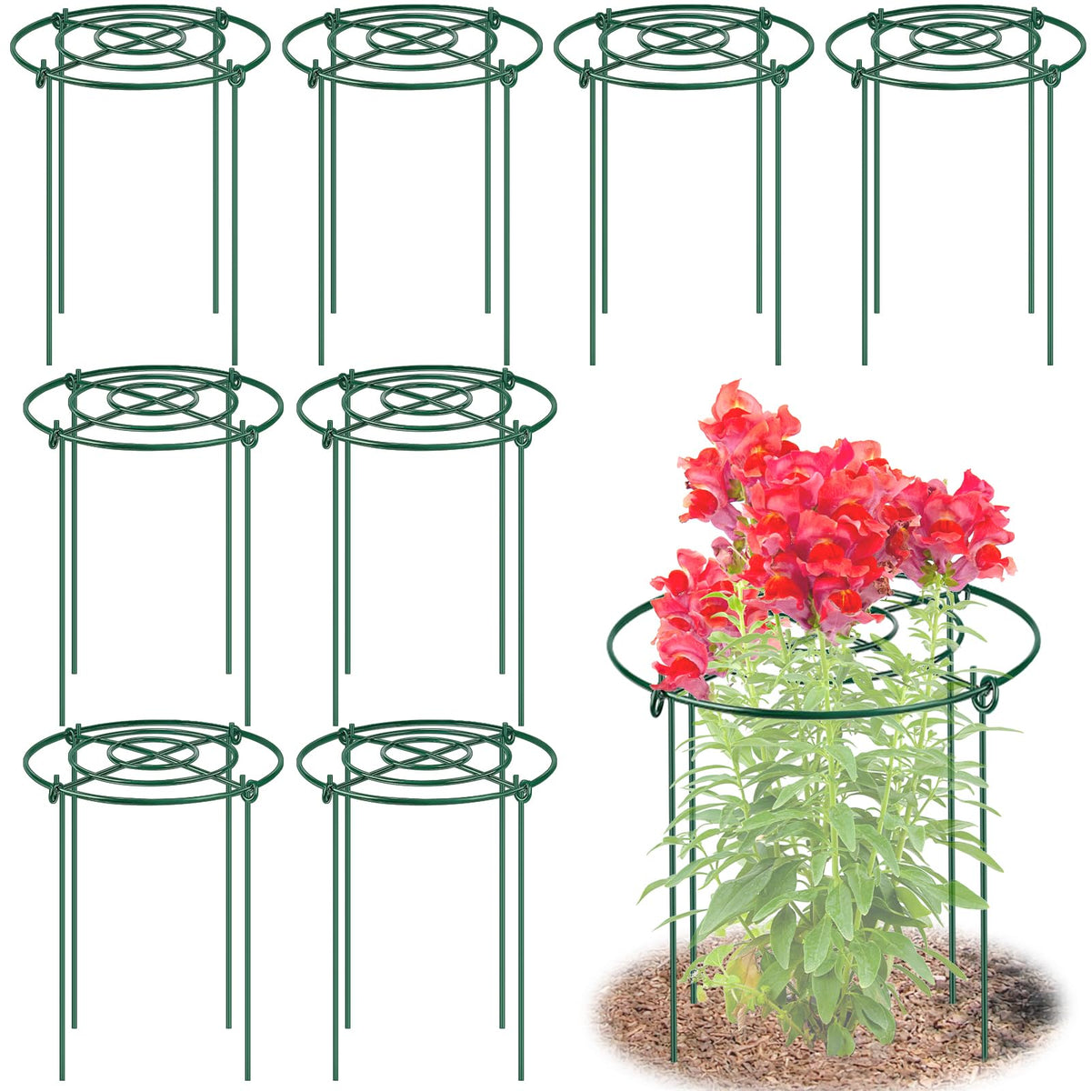 MJZ 8-pack peony cages with grid top provide stable bloom support