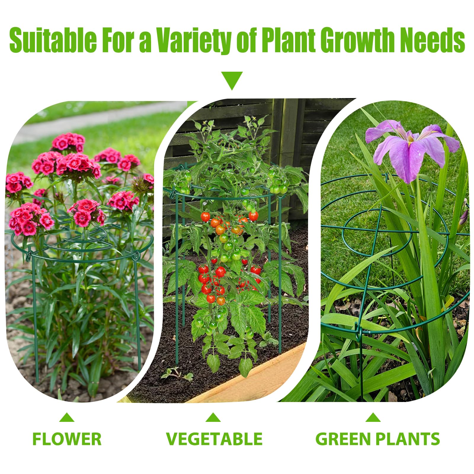 MJZ multi-plant-use cages suit peony, rose, tomato, hydrangea, begonia.