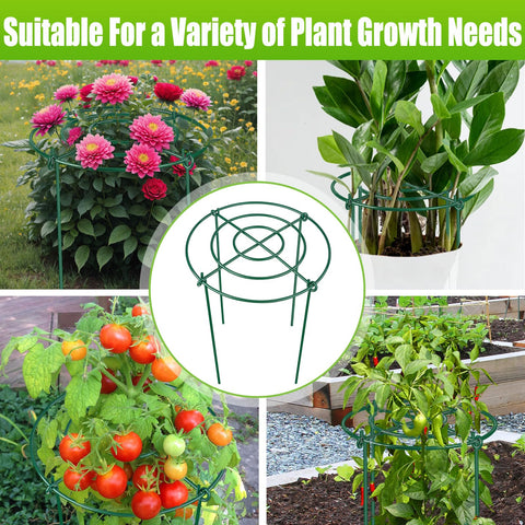 MJZ versatile supports for peony, rose, hydrangea, tomato