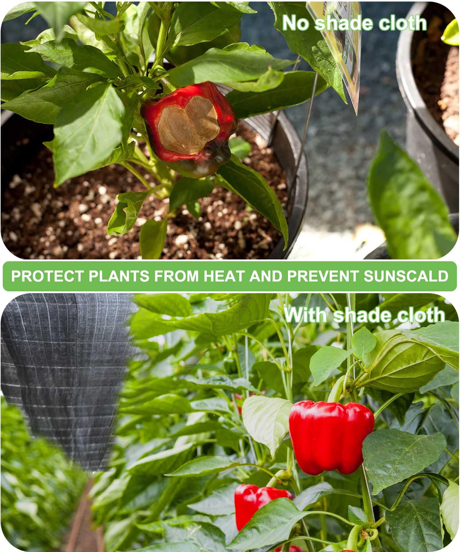 Mklsit 70 percent coverage helps shade spaces while maintaining airflow