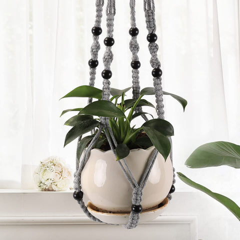Living room decor with a natural plant elevates the space.