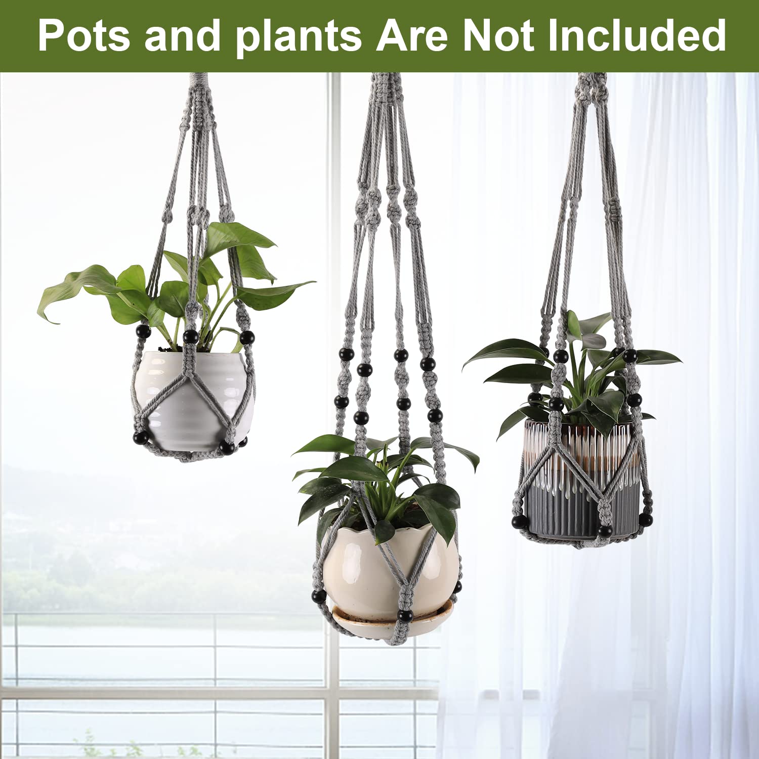Indoor window setup using MKO SHUN hanger showcases plants without clutter.