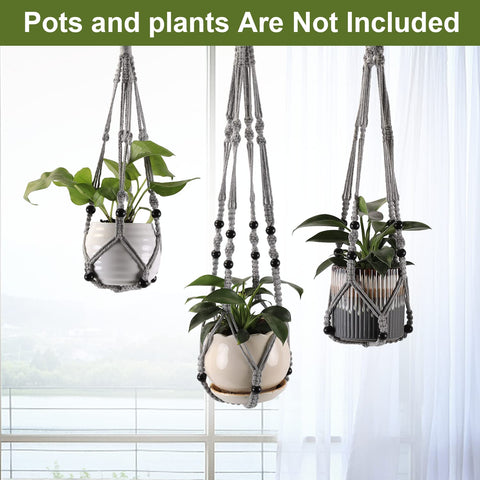Indoor window setup using MKO SHUN hanger showcases plants without clutter.
