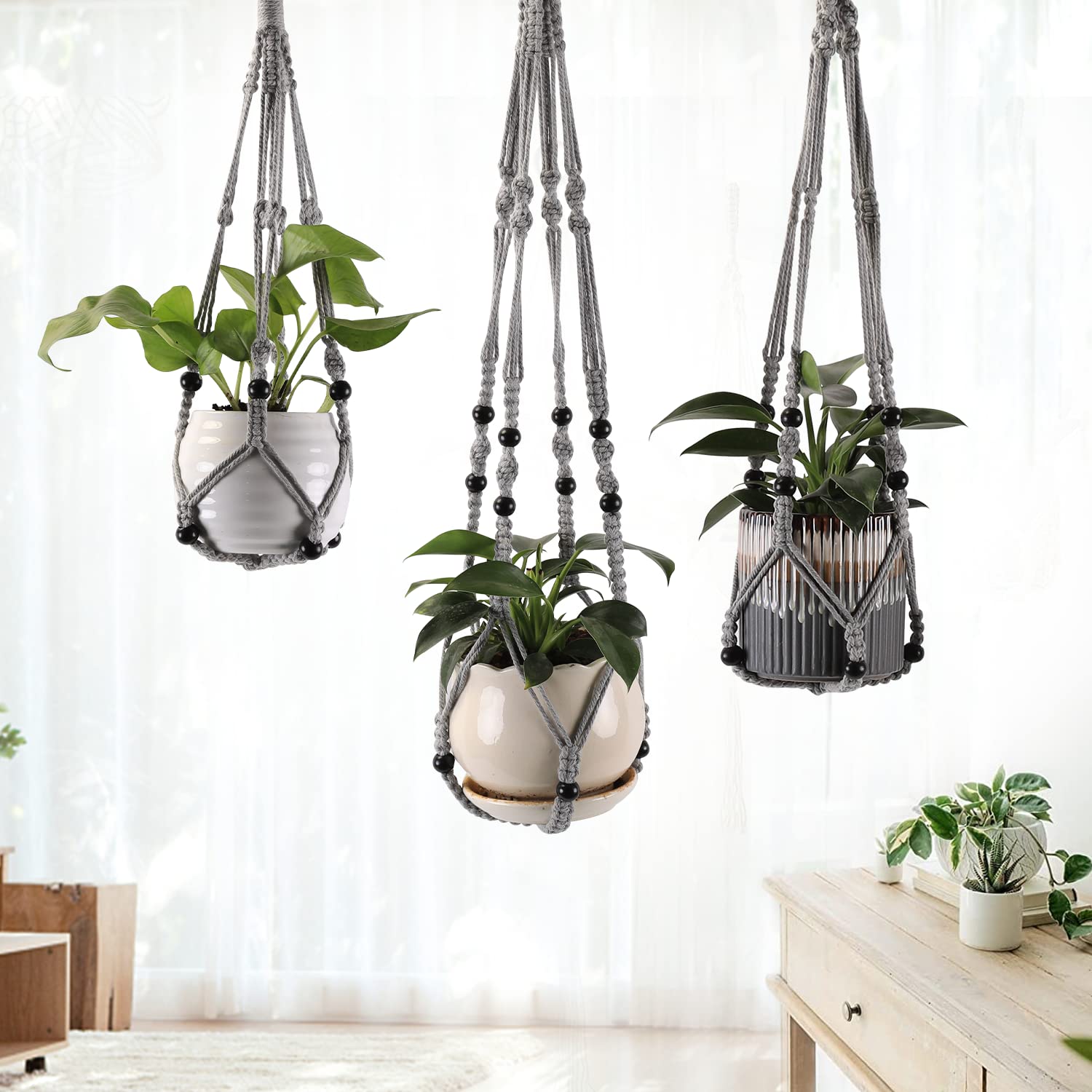 Length options of 35, 30, and 24 inches keep plants balanced.