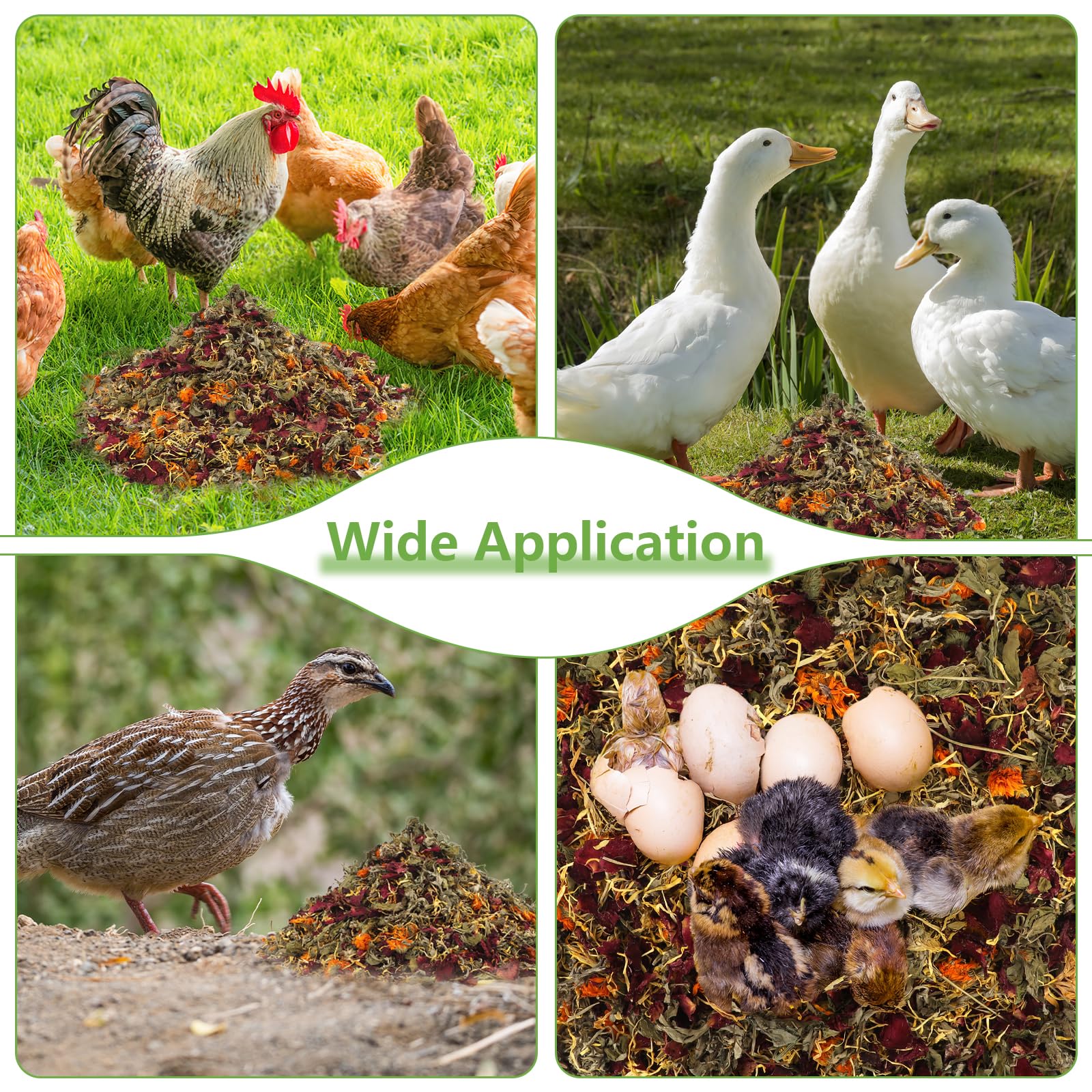 Mkobon dust bath aid for birds — enhances coop aroma and comfort