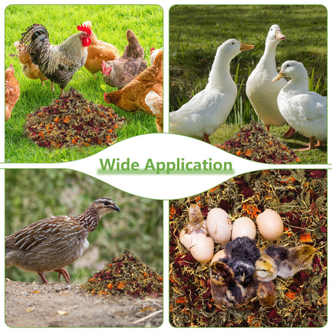 Mkobon dust bath aid for birds — enhances coop aroma and comfort