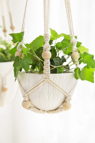 Mkono 3-pack provides versatile plant styling at home