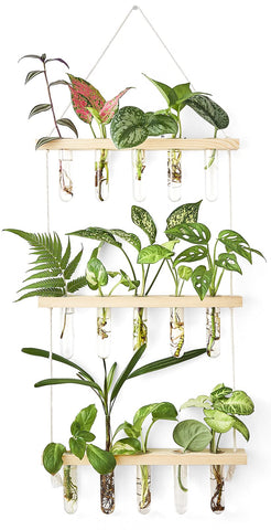 Mkono 3-tier wall terrarium frame with compact, space-saving plant display.