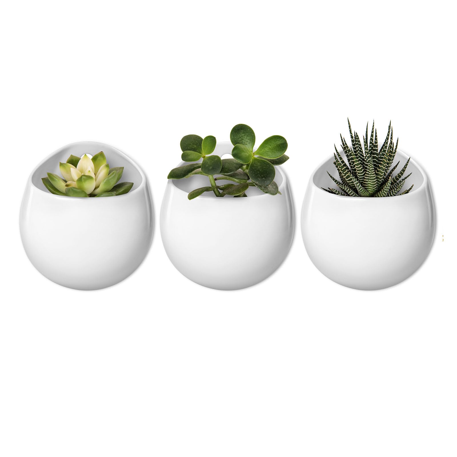 Mkono 4-inch wall-mounted planter in round ceramic with white matte finish for chic indoor display