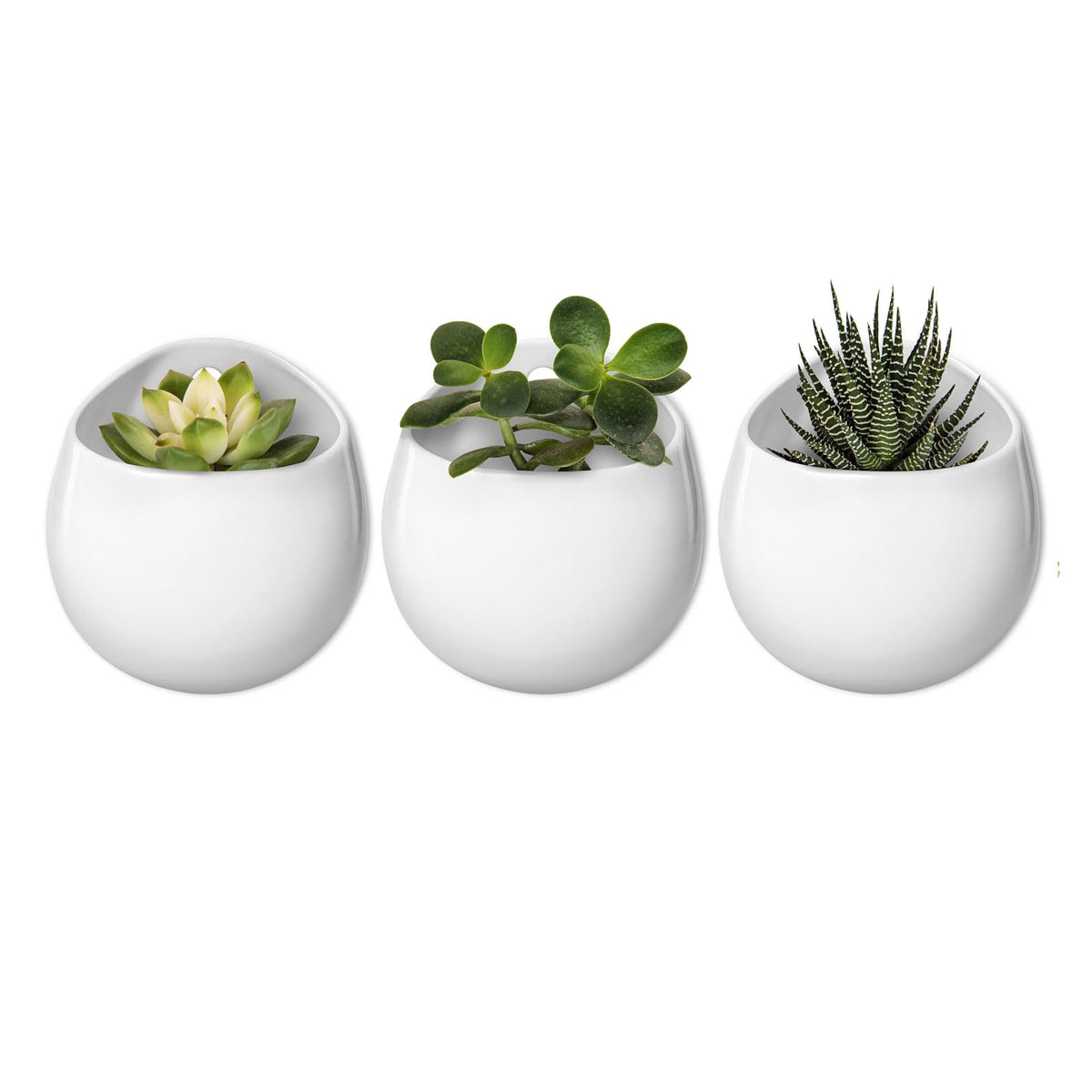 Mkono 4-inch wall-mounted planter in round ceramic with white matte finish for chic indoor display
