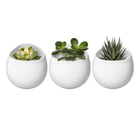Mkono 4-inch wall-mounted planter in round ceramic with white matte finish for chic indoor display