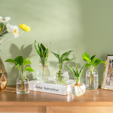 Mkono five bud vases form elegant centerpieces for any table