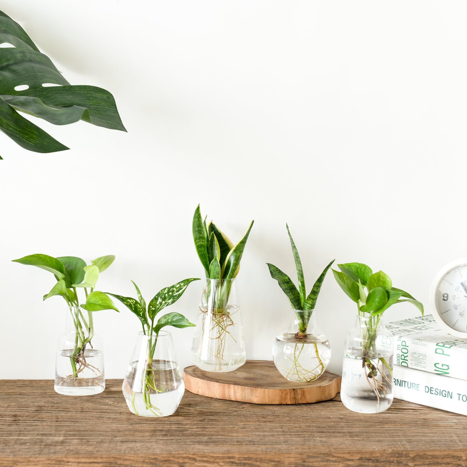 Mkono bud vases suit weddings and home decor elegantly