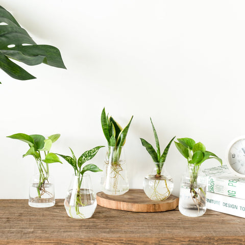 Mkono bud vases suit weddings and home decor elegantly