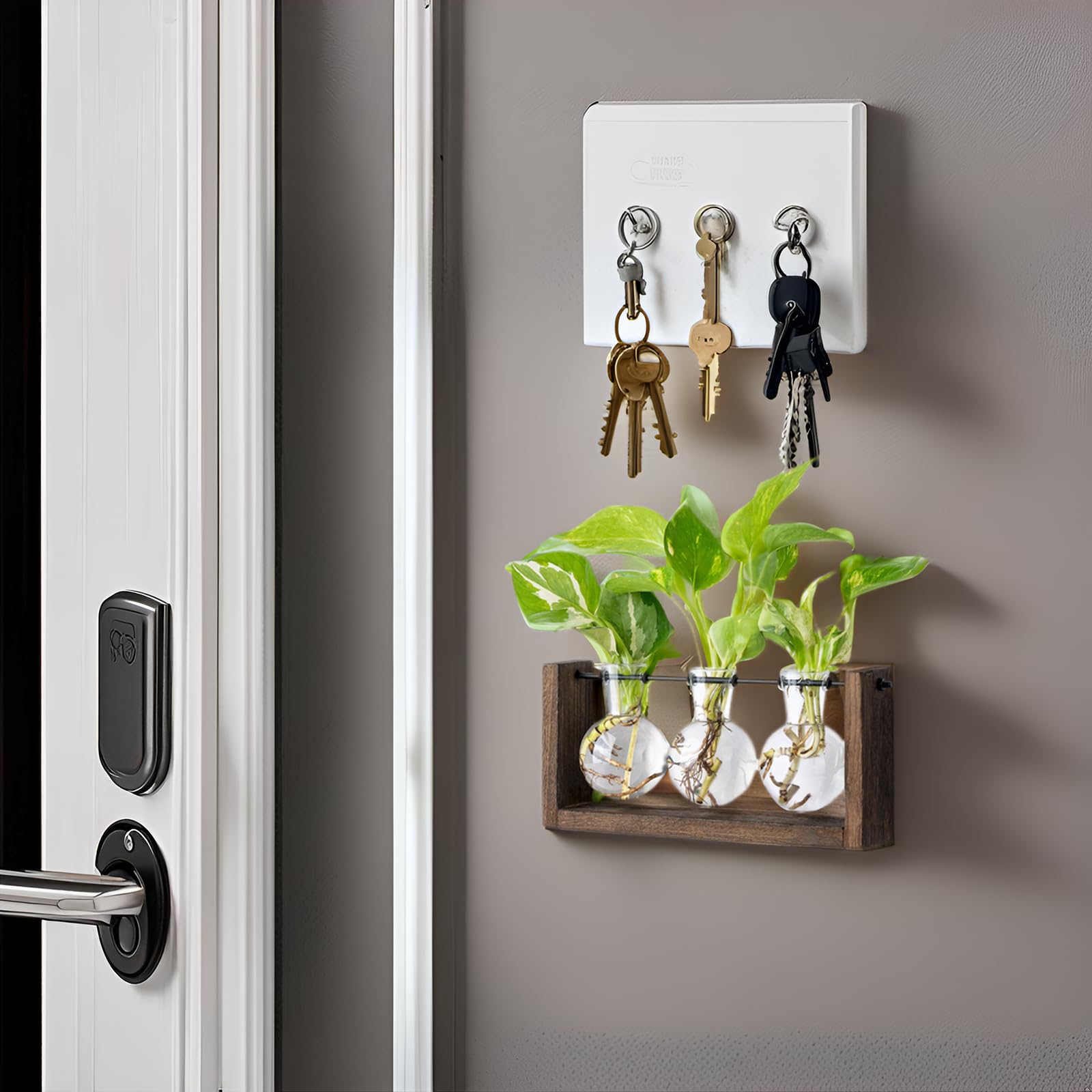 Mkono bulb vase trio suitable for hydroponics or water-rooted plants in decorative glass