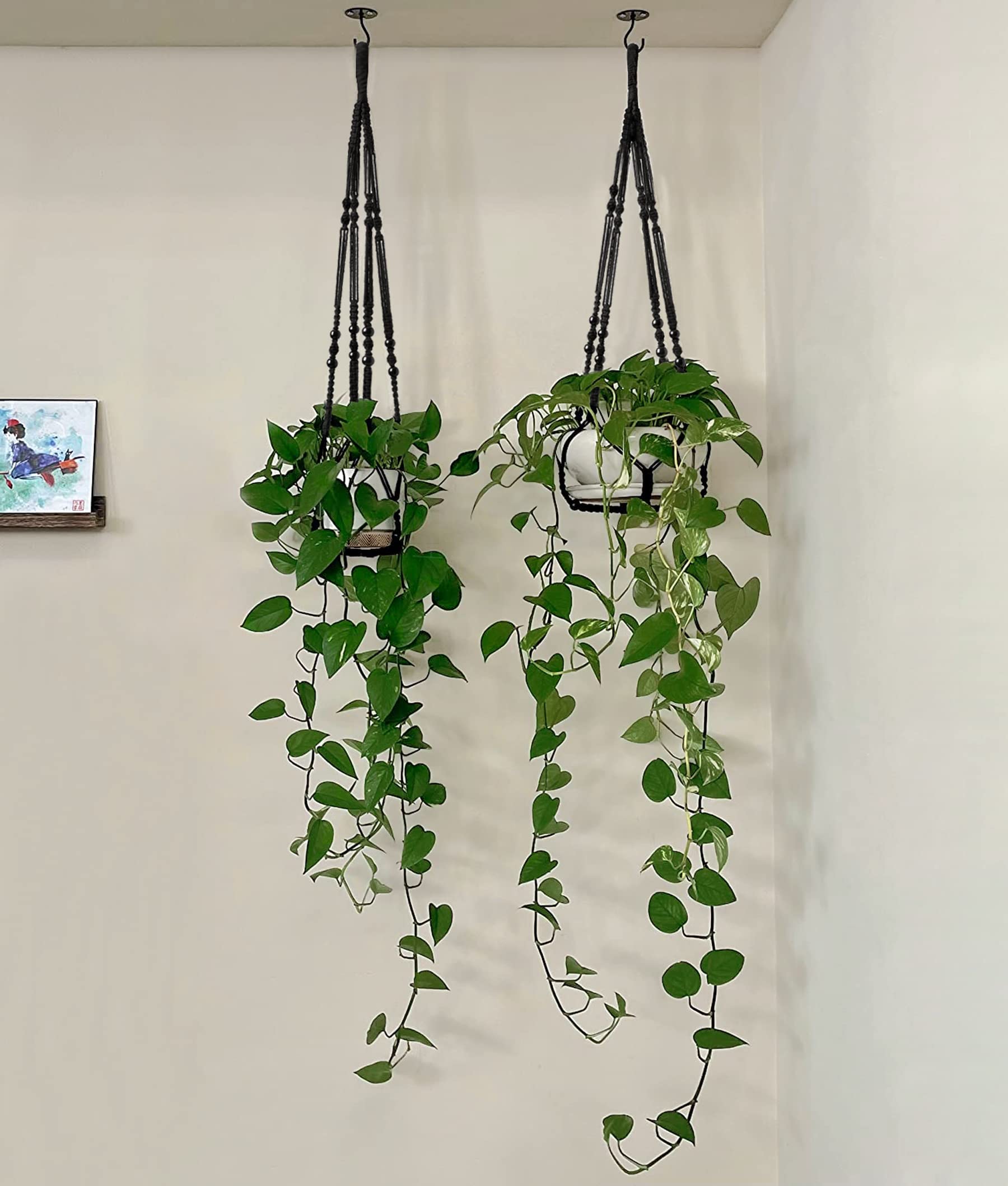 Mkono cotton cord plant holder easy to hang in any space.