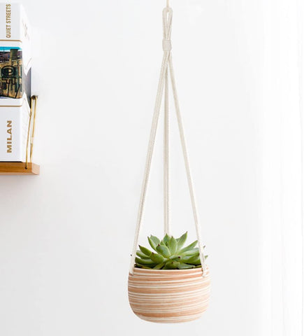 Mkono cotton rope planter hanger highlighting a compact succulent arrangement.