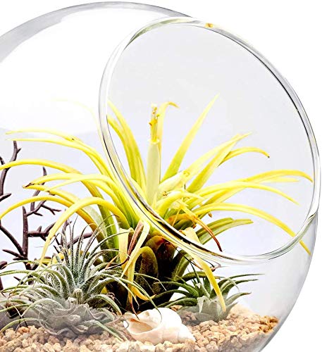 Mkono desk tabletop decor centerpiece perfect for living spaces