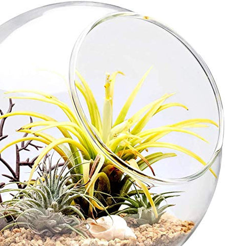 Mkono desk tabletop decor centerpiece perfect for living spaces