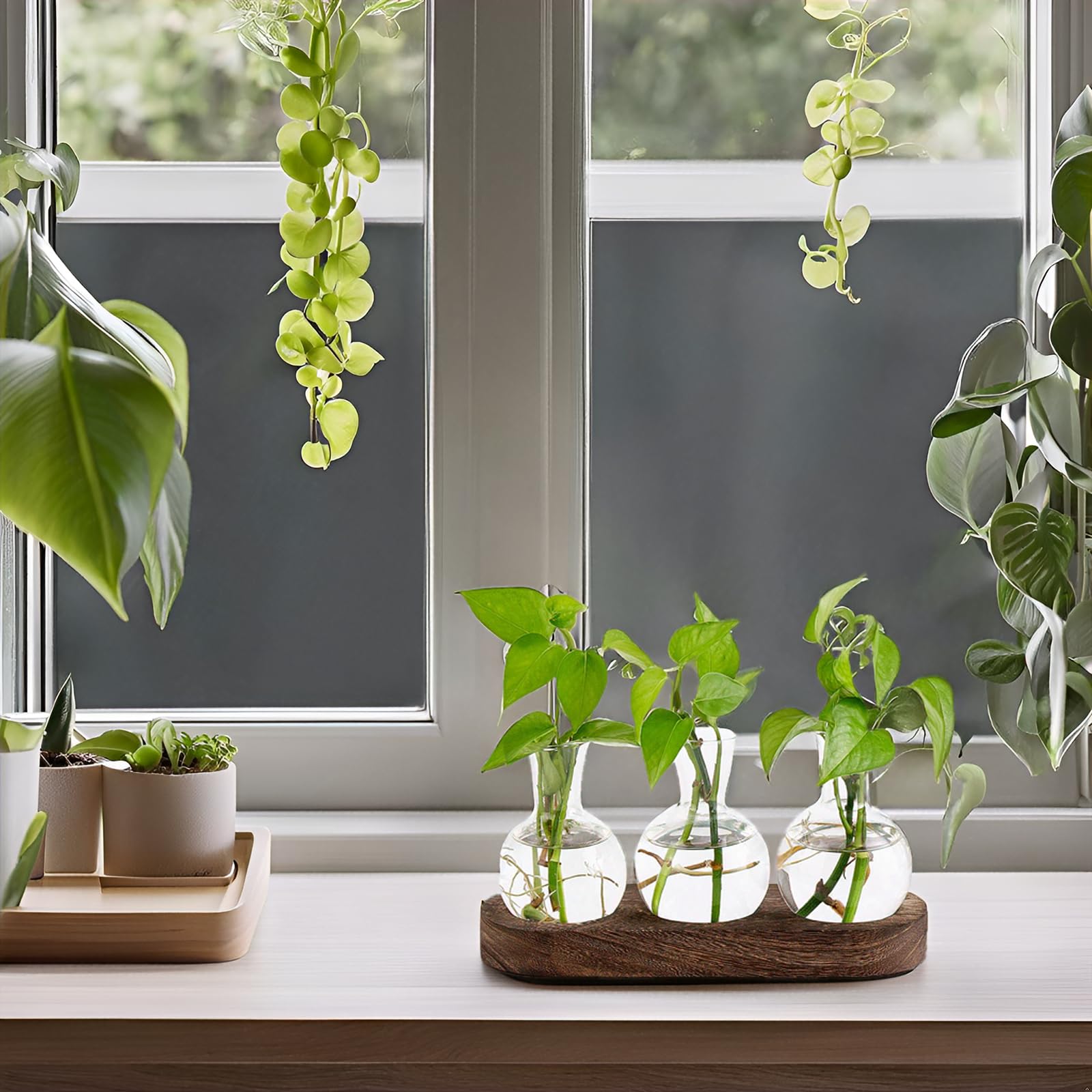 Mkono gift-ready propagation vase packaging for plant lovers.
