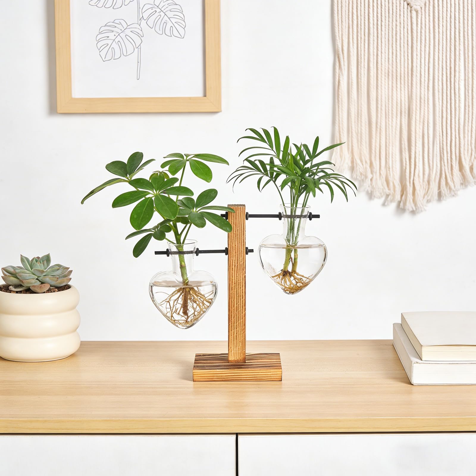 Mkono gift-ready propagation station perfect for plant lovers