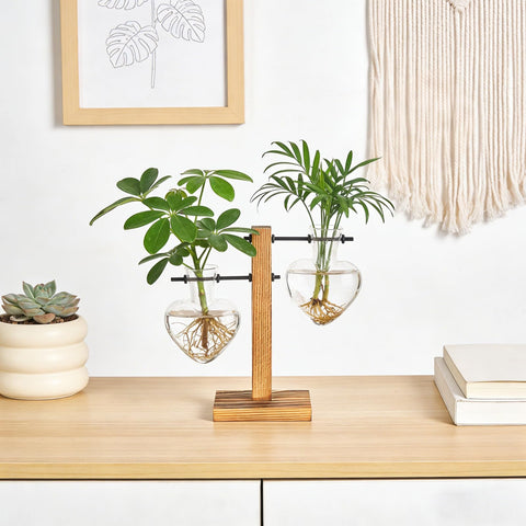 Mkono gift-ready propagation station perfect for plant lovers
