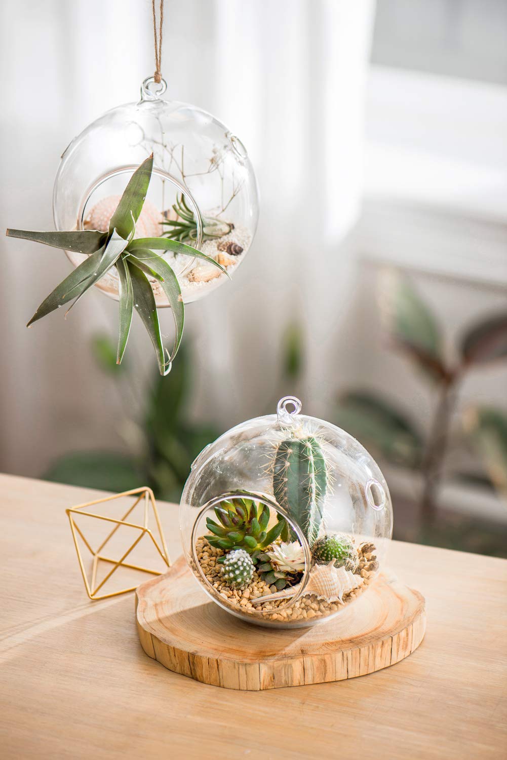 Mkono glass terrarium set complements festive décor and home offices