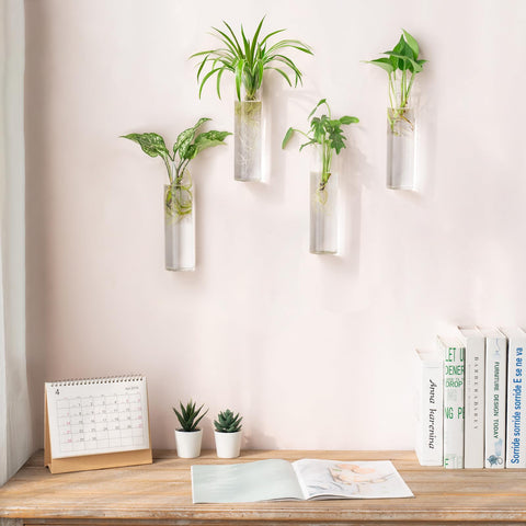 Mkono glass propagation tubes vase on wall mount showing plant roots