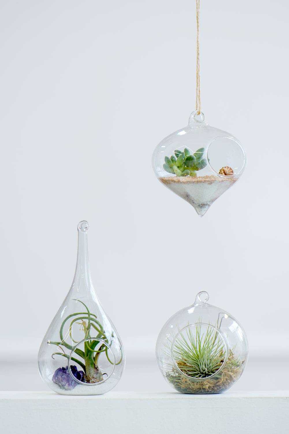 Mkono globe terrarium brightening a desk with succulents and moss