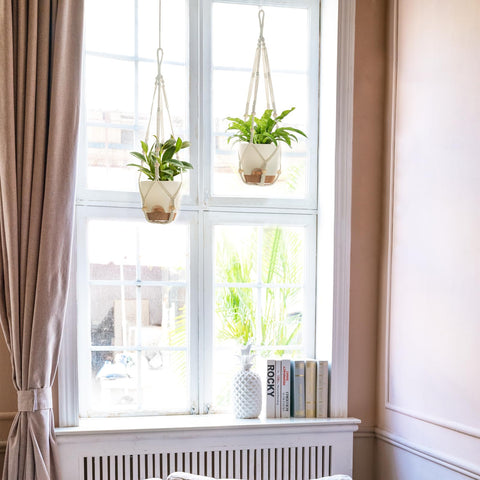 Mkono hanging hooks for secure mounting of planters in any room.