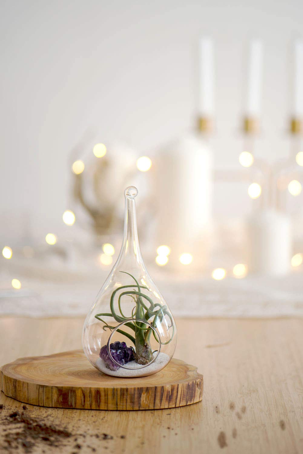 Mkono hanging terrarium set with rope for easy installation and versatile placement