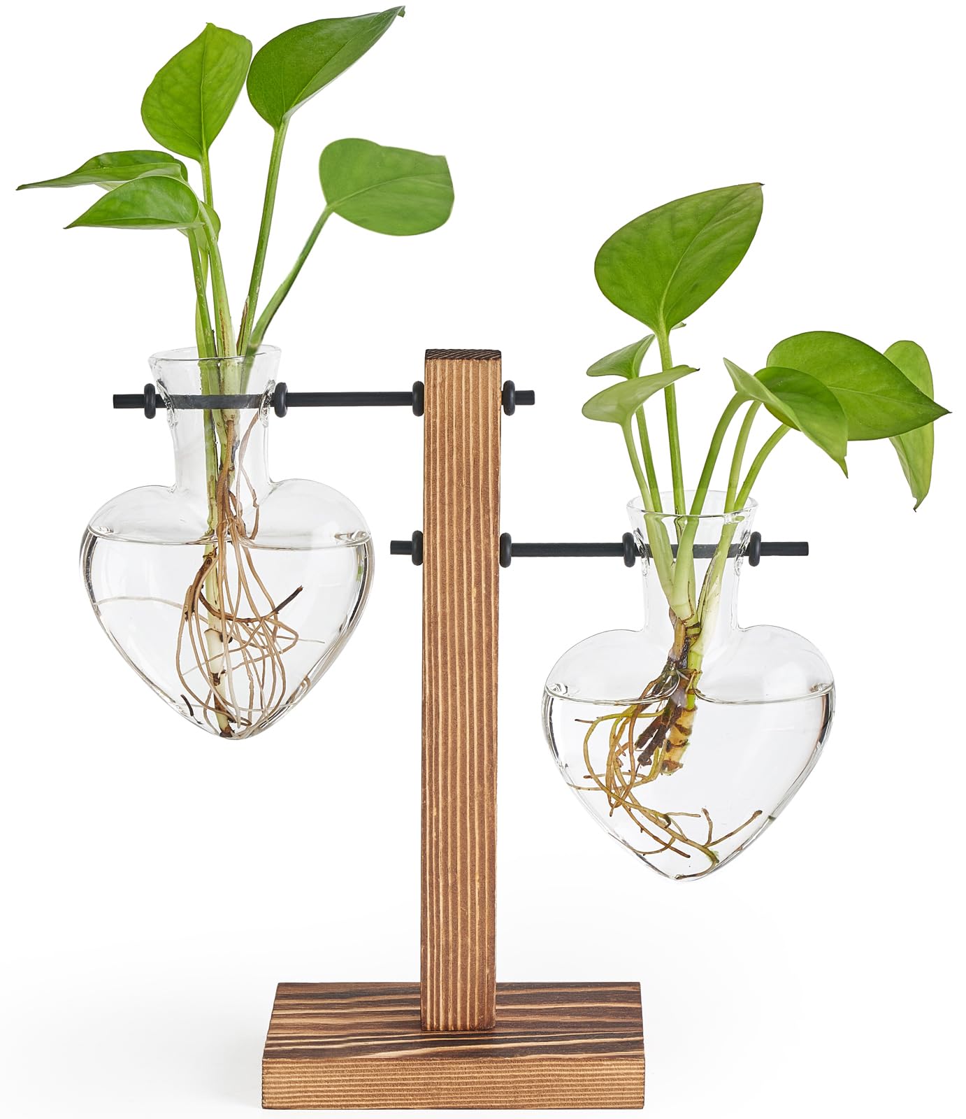 Mkono heart propagation station with wood stand, elegant desk display for hydroponics