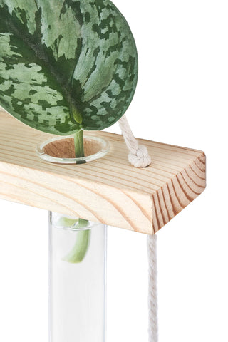 Mkono hydroponic plant cuttings visible in glass tubes.