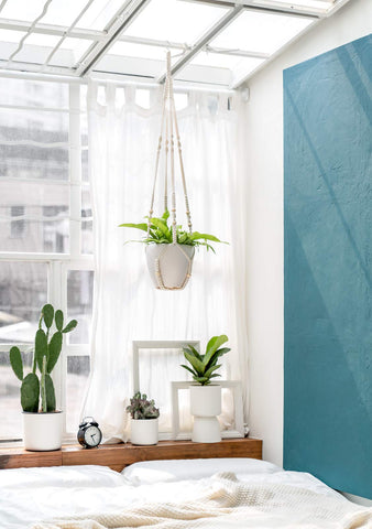 Mkono living room balance display creates cozy corners with vertical greenery.