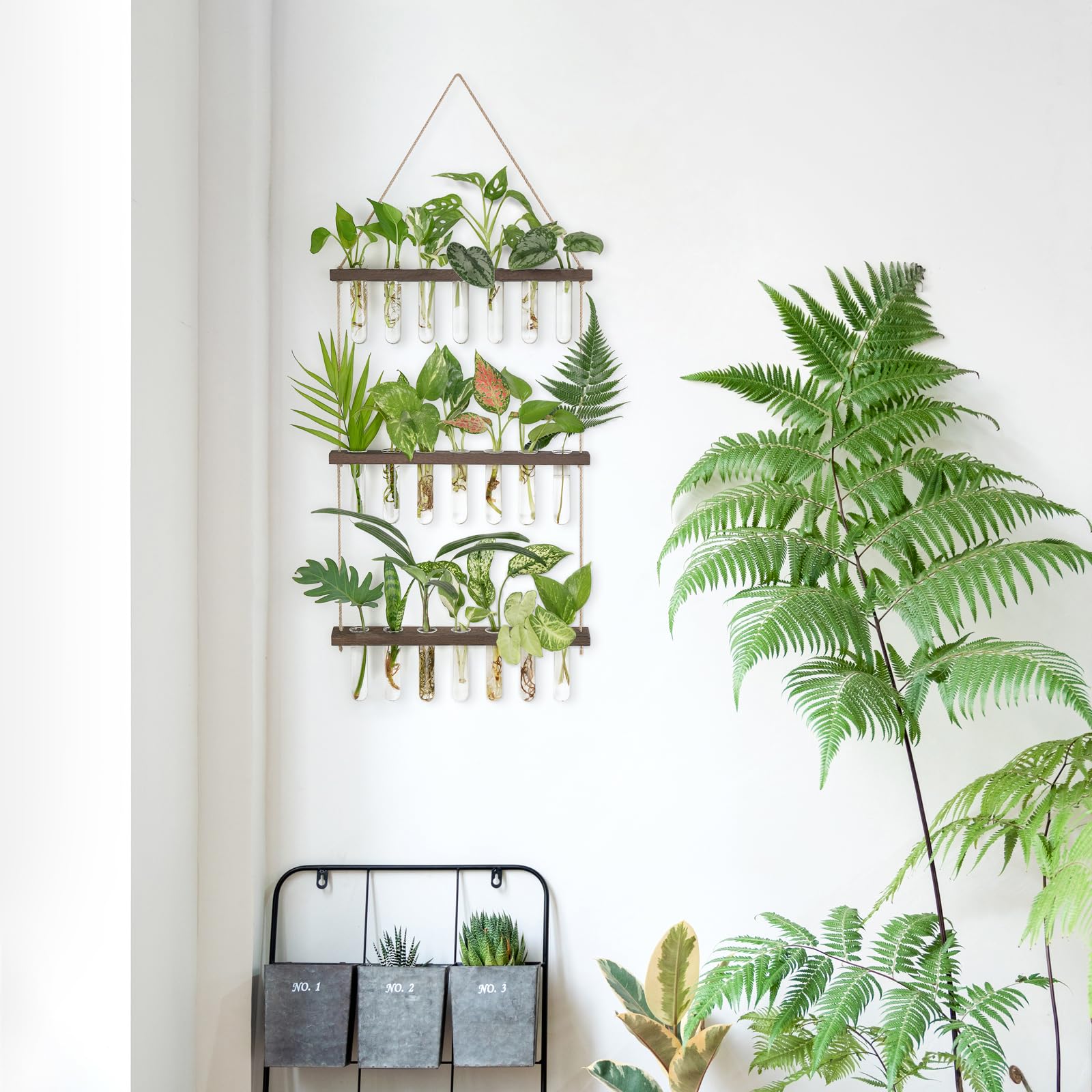 Mkono minimalist plant decor featuring propagating cuttings in glass tubes.
