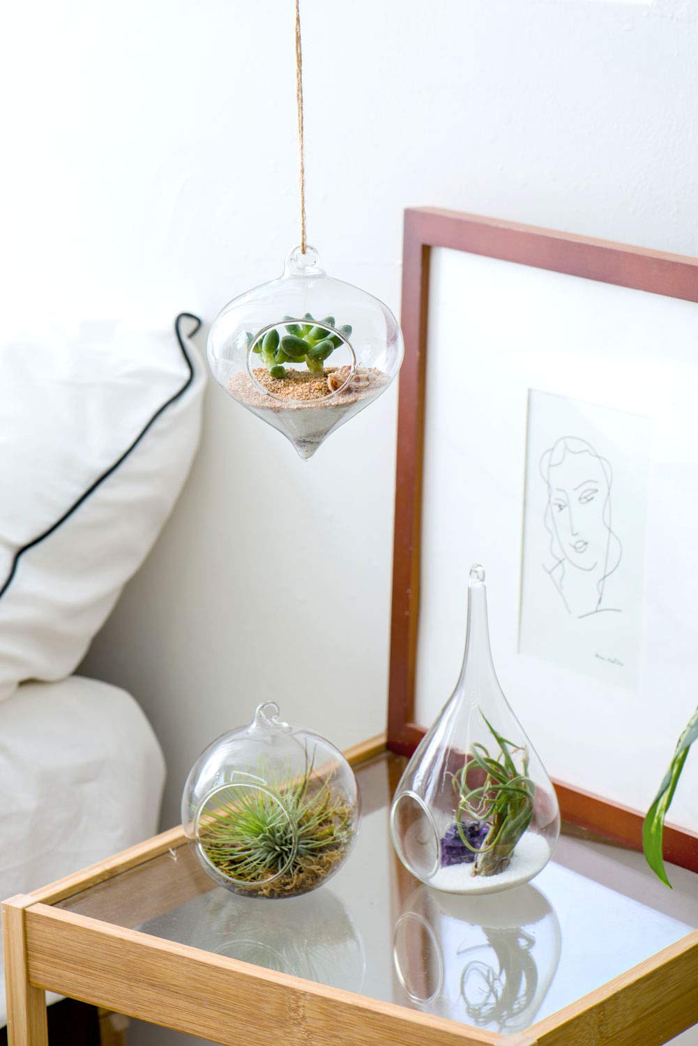 Mkono olive terrarium for hanging display with contemporary glass