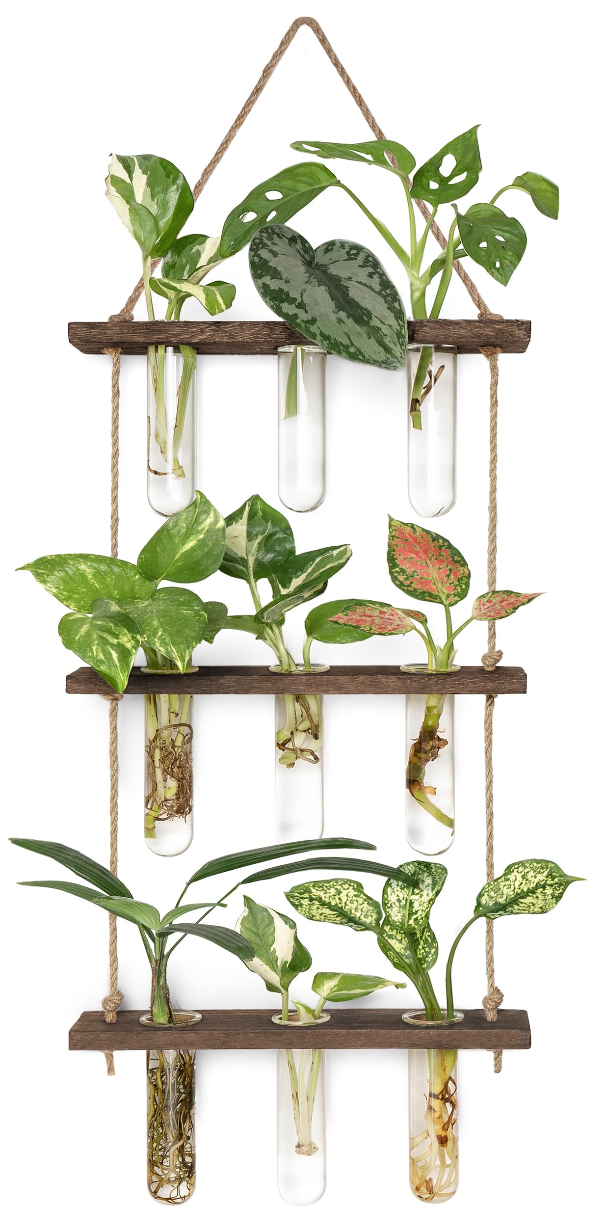 Mkono plant propagation tubes on a three-tier wall mount for stylish home propagation