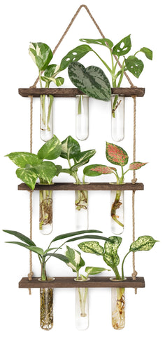 Mkono plant propagation tubes on a three-tier wall mount for stylish home propagation