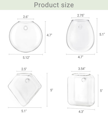 Mkono propagation egg shaped terrarium wall planter creates a soft focal point for small plants