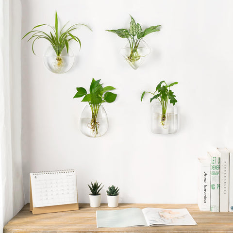 Mkono propagation hexagon terrarium wall piece for modern plant decor and hydroponics