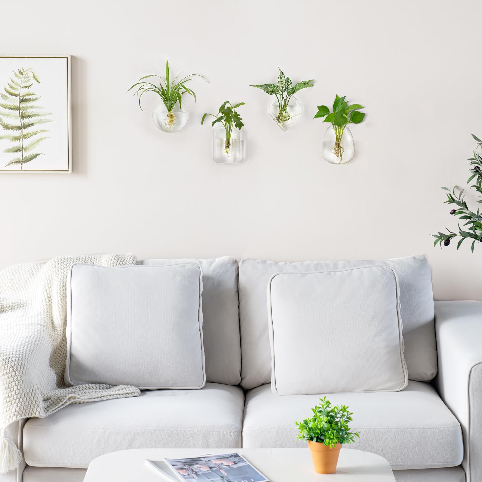 Mkono four shape wall display set offers versatile decor for indoor plants