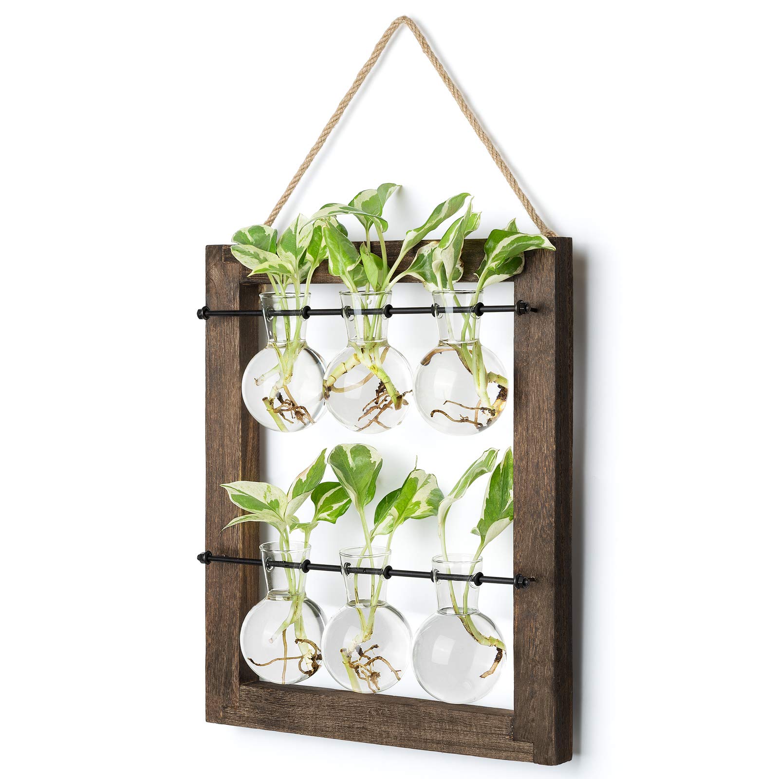Mkono propagation station wall hanging glass planter with double-layer glass bulbs for root observation.